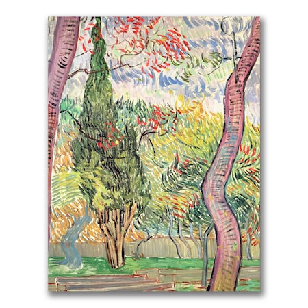 Vincent Van Gogh 'The Garden Of St. Pauls Hospital' Canvas Art,18x24